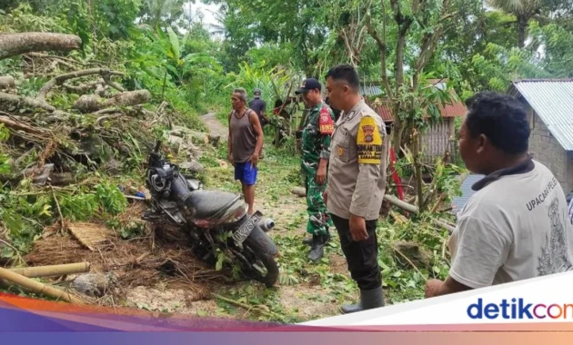Pohon Tumbang hingga Papan Iklan Roboh di Jalan Tol Pohon Tumbang hingga Papan Iklan Roboh di Jalan Tol