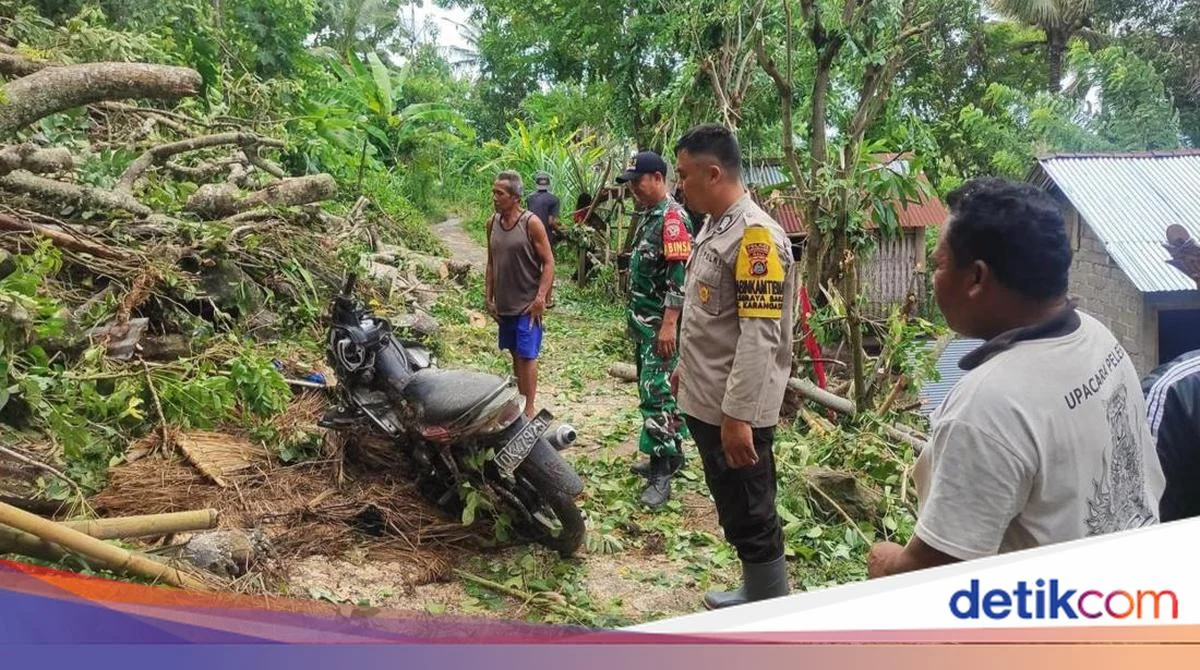 Pohon Tumbang hingga Papan Iklan Roboh di Jalan Tol