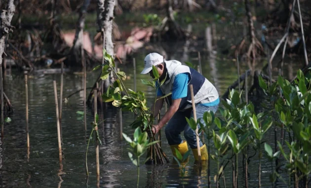 Polda Banten Tanam 1.000 Mangrove di Cilegon untuk Cegah Abrasi