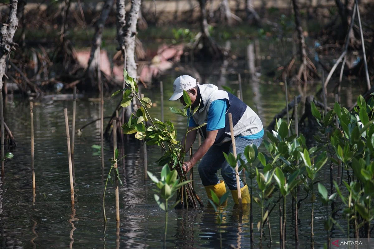 Polda Banten Tanam 1.000 Mangrove di Cilegon untuk Cegah Abrasi