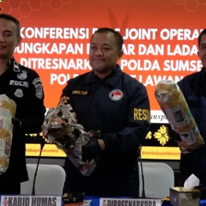 Polda Sumsel Tangkap Bandar Pengelola 220 Kg Ganja di Empat Lawang