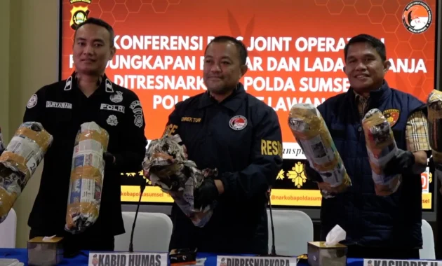 Polda Sumsel Tangkap Bandar Pengelola 220 Kg Ganja di Empat Lawang
