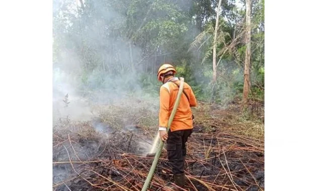 Polres Pelalawan Tangkap Pelaku Karhutla di Teluk Meranti, Lahan Seluas 500 Hektar Hangus