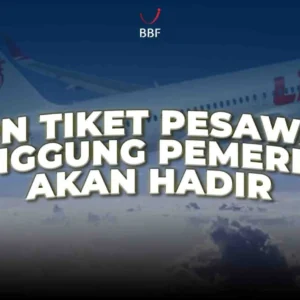 PPN Avtur 100% Ditanggung Pemerintah, Aturan Lengkap Pembelian Tiket Pesawat Ekonomi Domestik