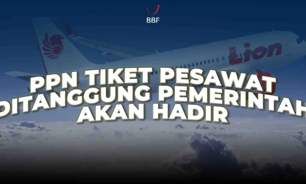 PPN Avtur 100% Ditanggung Pemerintah, Aturan Lengkap Pembelian Tiket Pesawat Ekonomi Domestik
