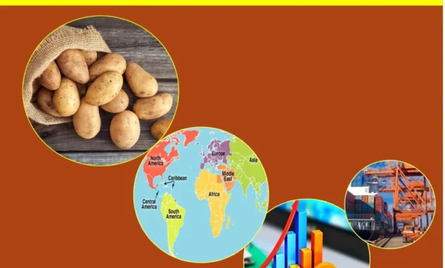 Praktisi: Konten sebagai Penggerak Kinerja Perdagangan