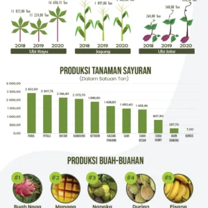 Prospek Industri Sayuran Sangat Besar, Butuh Dukungan Teknologi dan Investasi