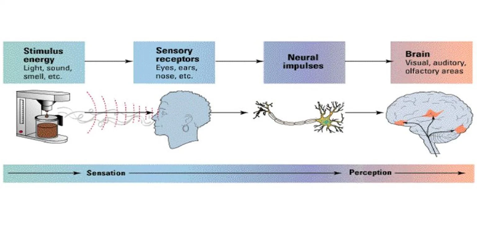Psikolog: Sensitivitas Sinyal Diri Butuh Diperhatikan