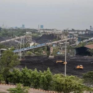 PTBA Cetak Laba Bersih Rp 2,93 Triliun di 2025 Meski Harga Batu Bara Turun