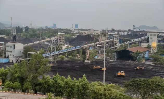 PTBA Cetak Laba Bersih Rp 2,93 Triliun di 2025 Meski Harga Batu Bara Turun