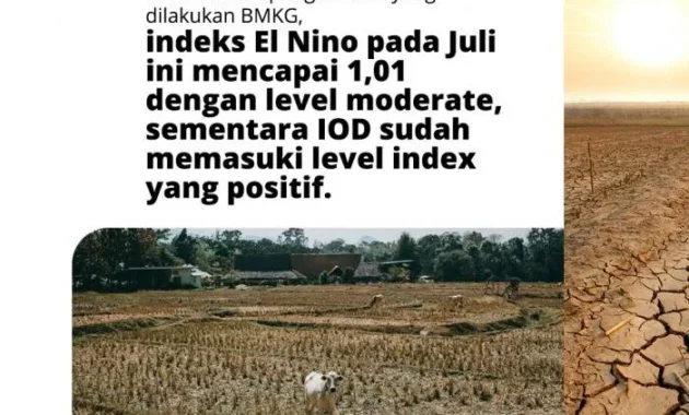 Rano Karno ingatkan warga Jakarta soal potensi DBD imbas El Nino