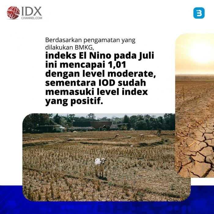 Rano Karno ingatkan warga Jakarta soal potensi DBD imbas El Nino
