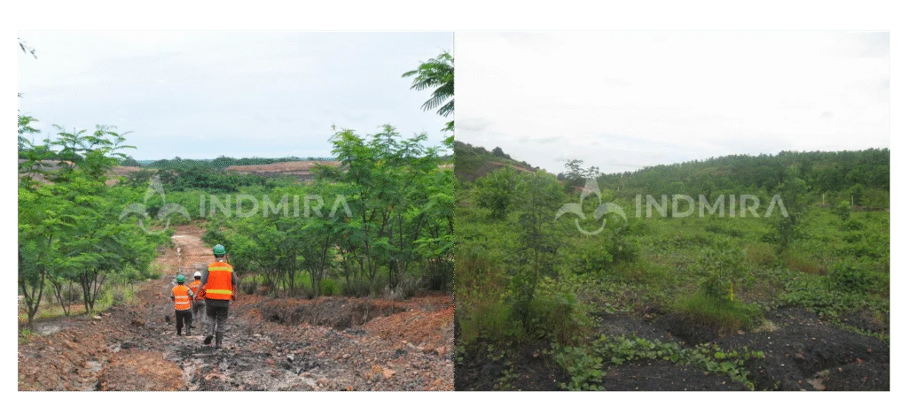 Rehabilitasi Lahan Pascatambang di Kalimantan Selatan: Kolaborasi Hasnur Group dengan Mitra