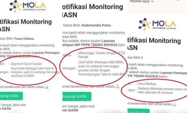 Ribuan Nakes Non‑ASN diambang Pengalihan Status: BKN Usulkan 38.524 ASN Pusat, Ratusan Nama Hilang di Tengah Jalan
