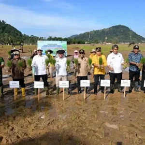 Satgas PRR Percepat Rehabilitasi Sawah Terdampak Bencana di Sumatera