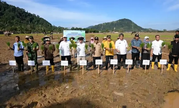 Satgas PRR Percepat Rehabilitasi Sawah Terdampak Bencana di Sumatera Satgas PRR Percepat Rehabilitasi Sawah Terdampak Bencana di Sumatera