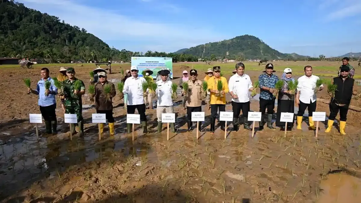 Satgas PRR Percepat Rehabilitasi Sawah Terdampak Bencana di Sumatera