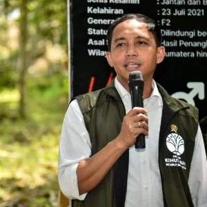 Sekjen PSI Raja Juli Antoni Yakin Jambi Jadi Kandang Gajah di Pemilu 2029