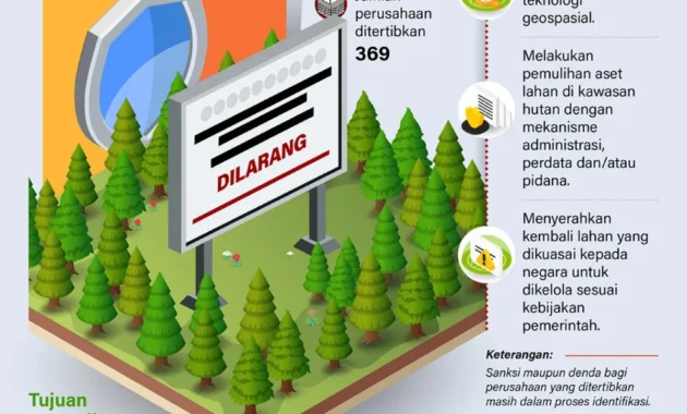 Seskab sebut penertiban kawasan hutan cerminan pemberantasan korupsi