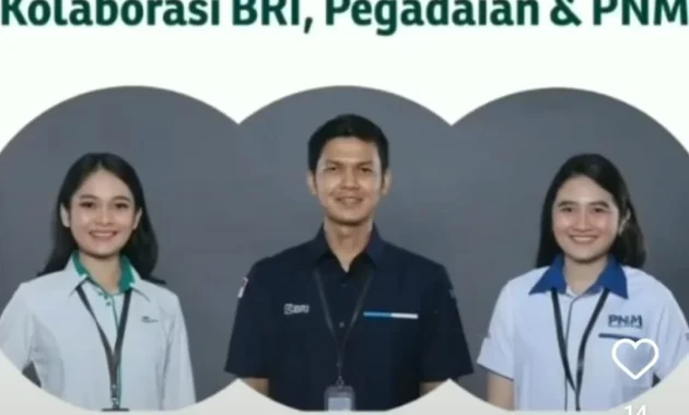 Sinergi Ultra Mikro BRI-PNM Bantu Siti Julaeha Ganda Sukses Usaha dan Rumah Tangga