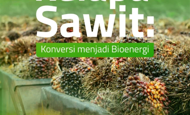 Standar Batas Limbah Sawit 100 Mg/L Dinilai Tidak Berbasis Pendekatan Ekologi Tanah