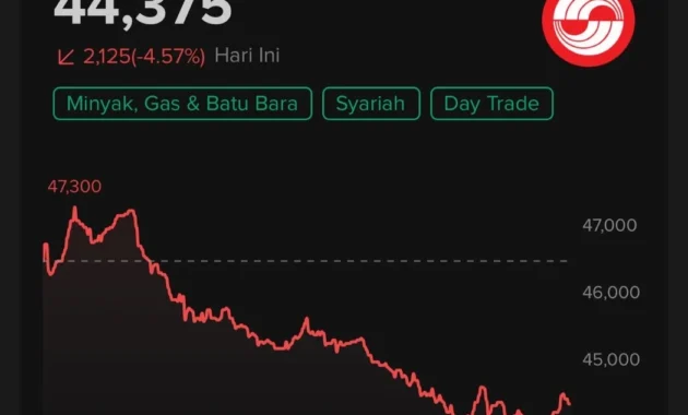 Stock Split 1:25 DSSA Turun Harga Jadi Rp2.680, Siapkan IPO DANA & Vidio