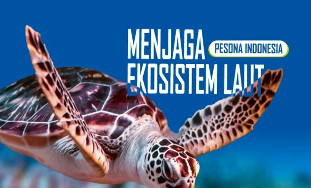 Studi Rekolonisasi di Area Operasional AMMAN Tunjukkan Tren Positif bagi Ekosistem Laut