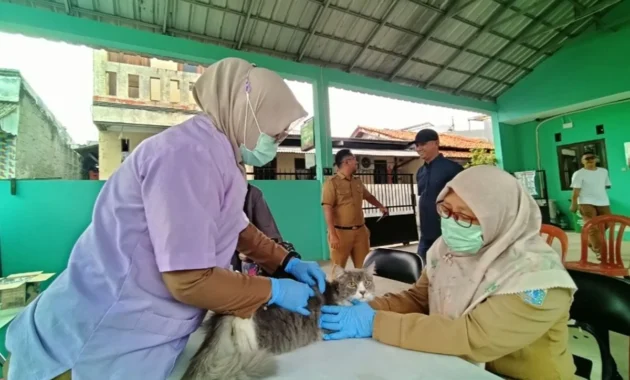 Sudin KPKP Jakarta Barat Vaksinasi Puluhan Hewan Penular Rabies di Tambora