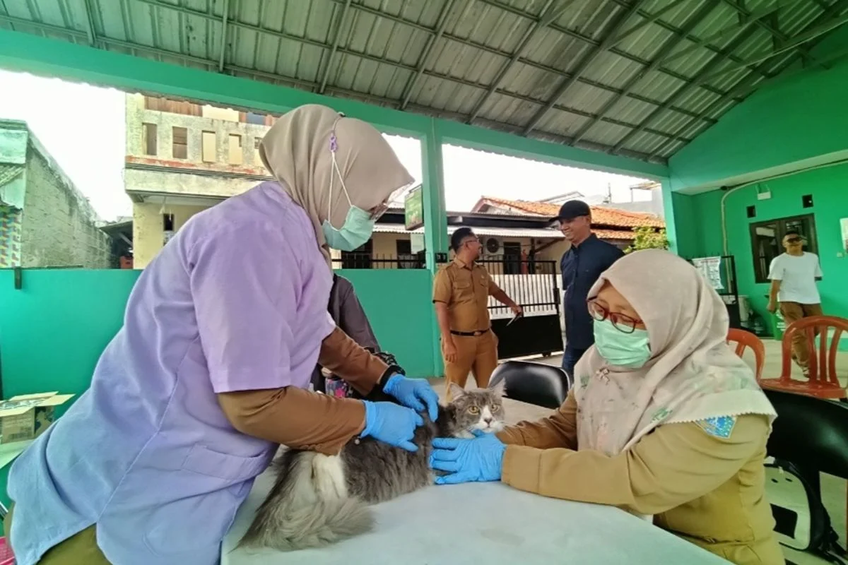 Sudin KPKP Jakarta Barat Vaksinasi Puluhan Hewan Penular Rabies di Tambora