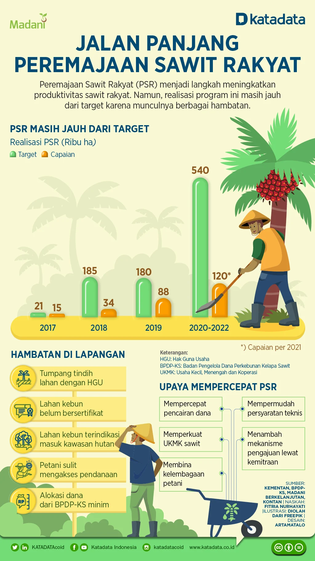 Sumsel Targetkan Peremajaan Sawit Rakyat 3.600 Hektare pada 2026