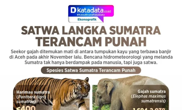 Talas Langka Sumatera Terancam Punah, Peneliti Usulkan Status Kritis