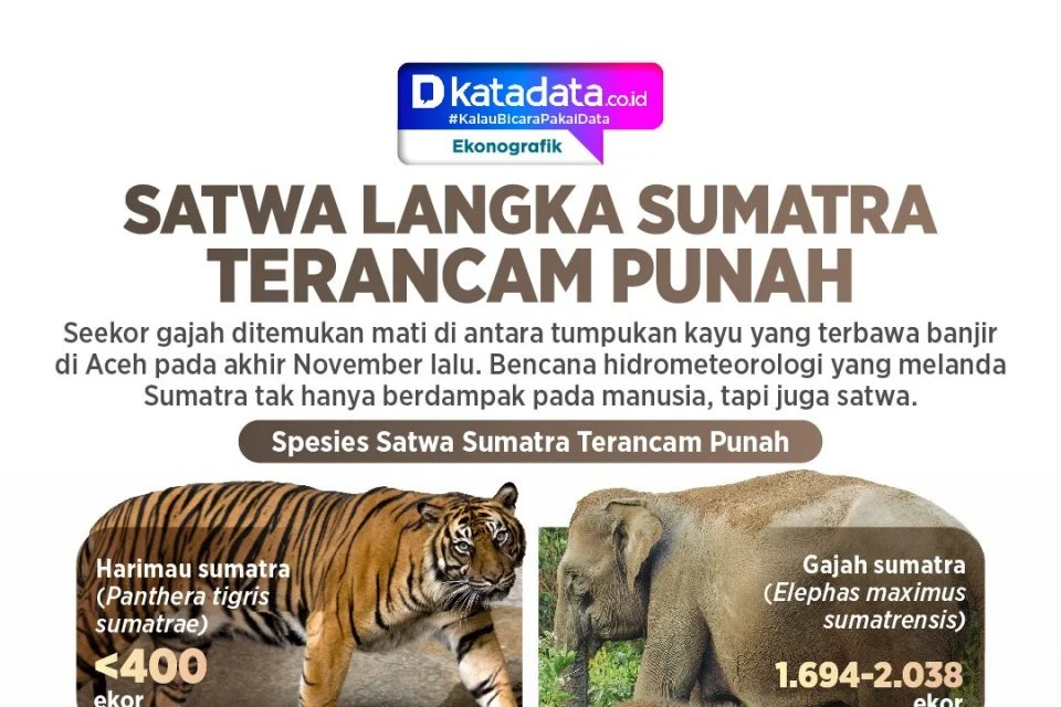 Talas Langka Sumatera Terancam Punah, Peneliti Usulkan Status Kritis
