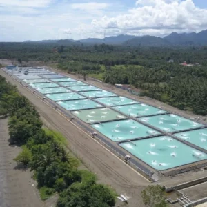 Tambak Udang Waingapu Terpimpin Anggaran Rp7,2 Triliun: Proyek Tercanggih dan Ramah Lingkungan di NTT, Update Progres