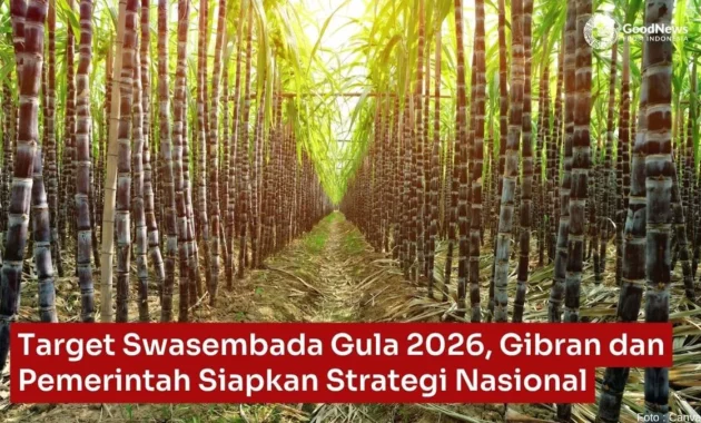 Target Swasembada Gula 2028 Terkendala Produktivitas Rendah dan Pabrik Usang