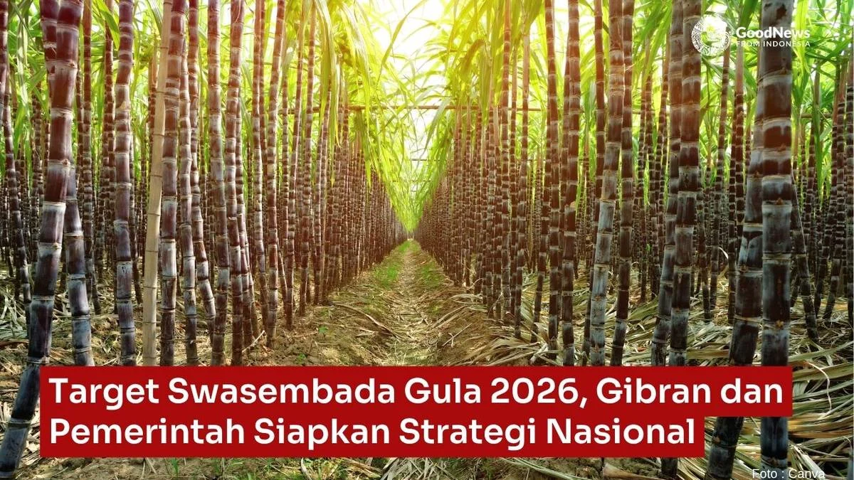 Target Swasembada Gula 2028 Terkendala Produktivitas Rendah dan Pabrik Usang