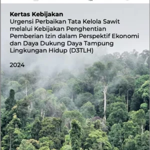Tata Kelola Sawit Disorot, Persoalan Dinilai Tidak Sebatas Pengambilalihan Lahan