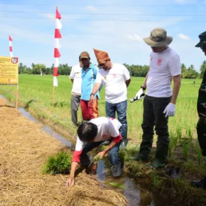 Teknologi Jepang Uji Efisiensi Air Sawah di Pariaman, Sumatera Barat