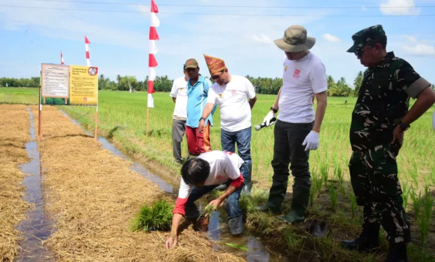Teknologi Jepang Uji Efisiensi Air Sawah di Pariaman, Sumatera Barat