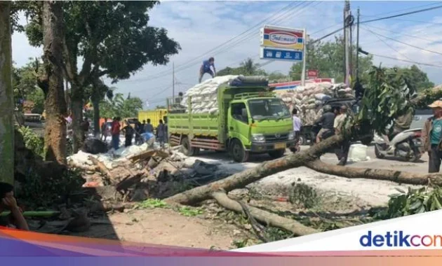Tragedi di Jalur Puncak Cianjur: Dua Kecelakaan Maut dalam Satu Hari, Sopir Truk dan Pengendara Motor Tewas Saat Hujan Deras Tragedi di Jalur Puncak Cianjur: Dua Kecelakaan Maut dalam Satu Hari, Sopir Truk dan Pengendara Motor Tewas Saat Hujan Deras