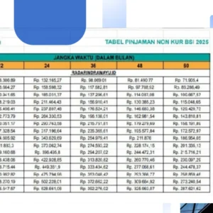 Tren Kebutuhan Dana Besar Hadirkan Skema Pinjaman Fleksibel Berbasis Properti