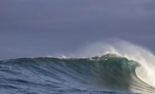 Tsunami Terdeteksi di Halmahera Barat dan Bitung Pasca Gempa Magnitudo 7,5