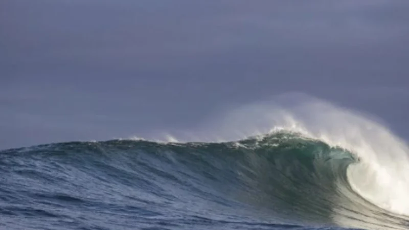 Tsunami Terdeteksi di Halmahera Barat dan Bitung Pasca Gempa Magnitudo 7,5