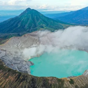 UNEJ Teliti Paku Pohon Purba di Ijen Geopark, Kekayaan Alam Bernilai Konservasi Tinggi