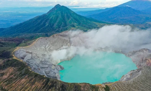 UNEJ Teliti Paku Pohon Purba di Ijen Geopark, Kekayaan Alam Bernilai Konservasi Tinggi