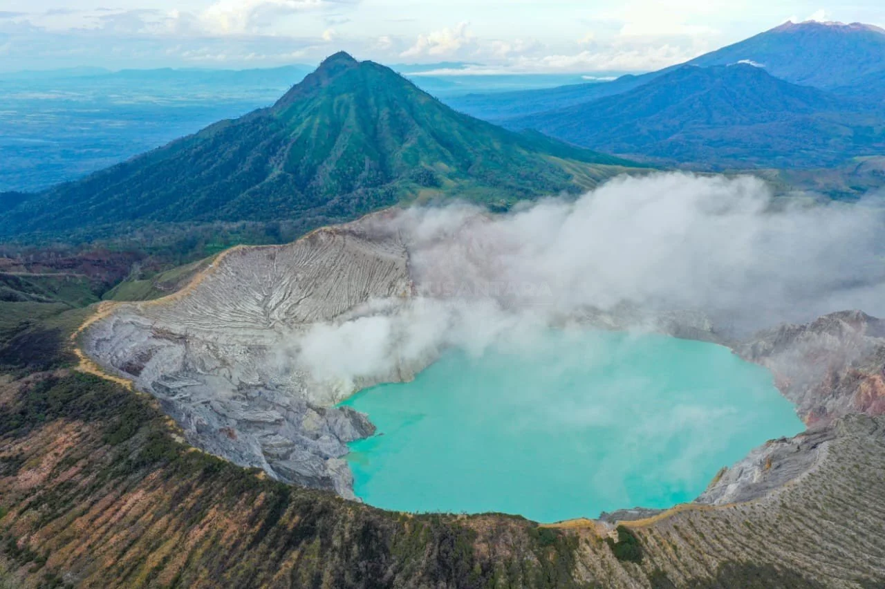 UNEJ Teliti Paku Pohon Purba di Ijen Geopark, Kekayaan Alam Bernilai Konservasi Tinggi