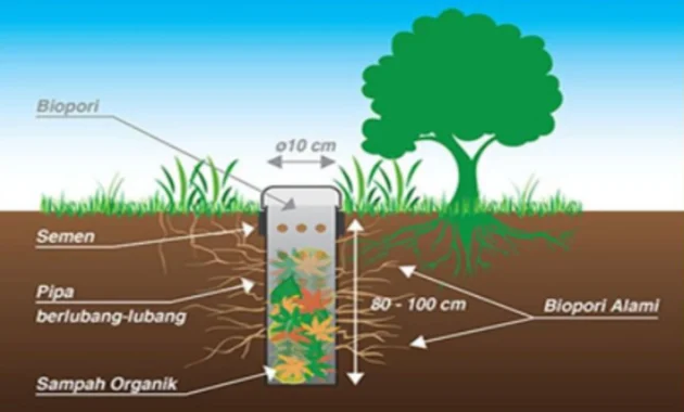 Wamen Lingkungan Hidup Nilai Biopori Efektif Kurangi Risiko Banjir Wamen Lingkungan Hidup Nilai Biopori Efektif Kurangi Risiko Banjir