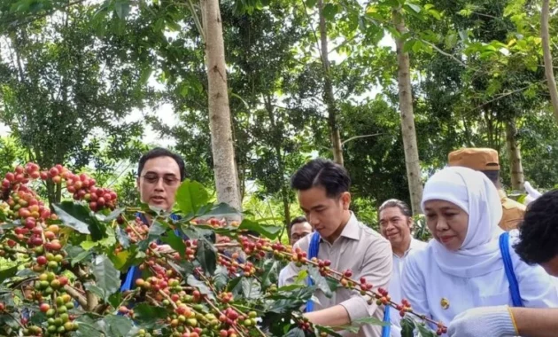 Wapres Gibran Dorong Hilirisasi dan Perluasan Produk Lokal di NTT