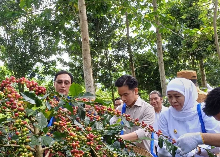 Wapres Gibran Dorong Hilirisasi dan Perluasan Produk Lokal di NTT