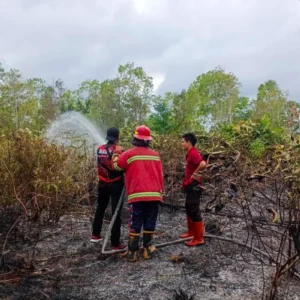 Yonkomposit 1G Terjunkan 200 Personel Padamkan Karhutla Natuna di Bunguran Timur