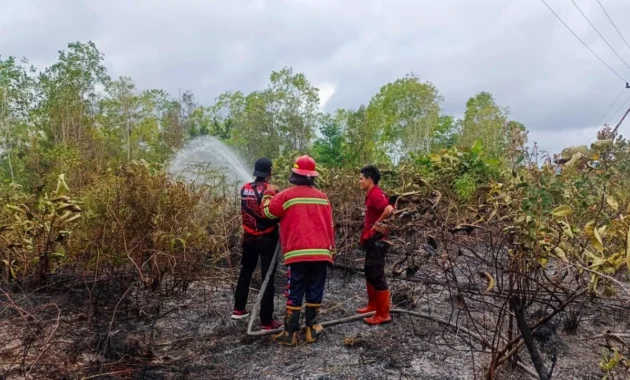 Yonkomposit 1G Terjunkan 200 Personel Padamkan Karhutla Natuna di Bunguran Timur Yonkomposit 1G Terjunkan 200 Personel Padamkan Karhutla Natuna di Bunguran Timur